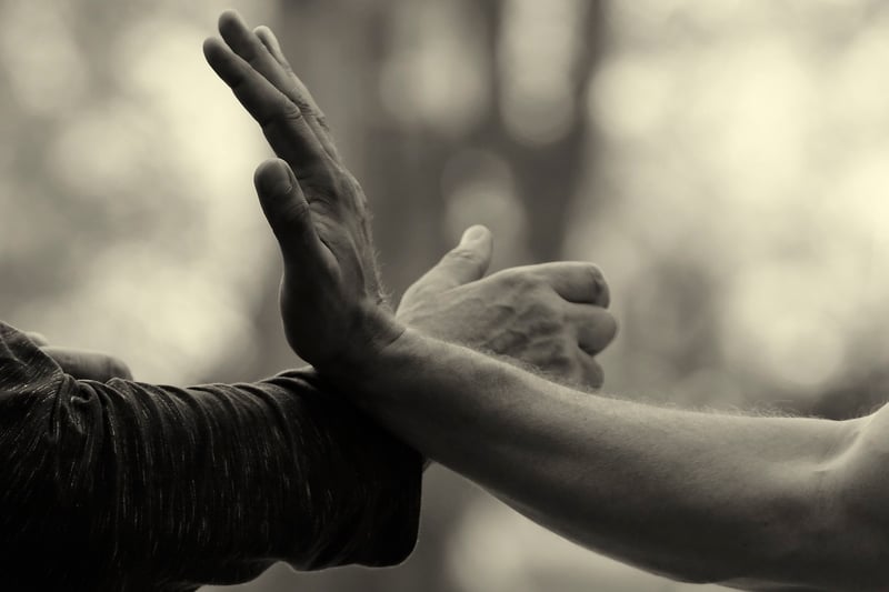 Tai Chi Martial Arts